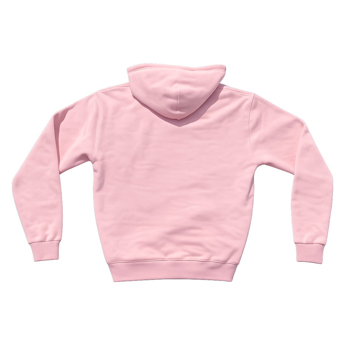 PINK BRAZIL CLOUD hoodie